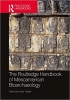 کتاب The Routledge Handbook of Mesoamerican Bioarchaeology
