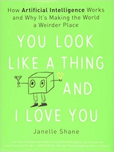 جلد معمولی سیاه و سفید_کتاب You Look Like a Thing and I Love You: How Artificial Intelligence Works and Why It's Making the World a Weirder Place