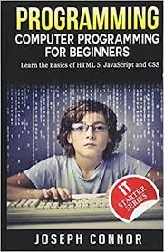 خرید اینترنتی کتاب Begin Programming Quickly: Learn The Basics Of Simple Web Languages: Coding Books For Beginners اثر Vitela and Jamie