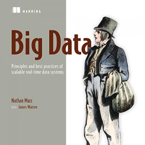 جلد سخت سیاه و سفید_کتاب Big Data: Principles and best practices of scalable realtime data systems 