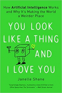کتاب You Look Like a Thing and I Love You: How Artificial Intelligence Works and Why It's Making the World a Weirder Place