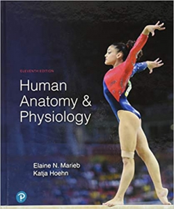 خرید اینترنتی کتاب Human Anatomy & Physiology 11th Edition