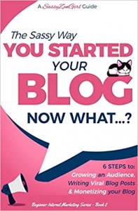 کتاب You Started Your Blog - Now What...? (Beginner Internet Marketing Series) 