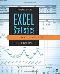 جلد معمولی سیاه و سفید_کتاب Excel Statistics: A Quick Guide