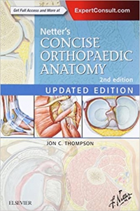 خرید اینترنتی کتاب Netter's Concise Orthopaedic Anatomy, Updated Edition (Netter Basic Science)