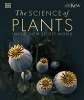 کتاب The Science of Plants: Inside their Secret World