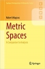 کتاب Metric Spaces: A Companion to Analysis (Springer Undergraduate Mathematics Series)