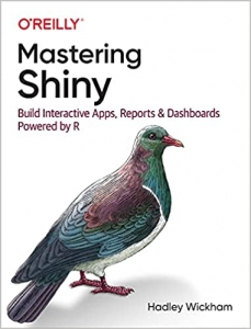 جلد معمولی سیاه و سفید_کتاب Mastering Shiny: Build Interactive Apps, Reports, and Dashboards Powered by R