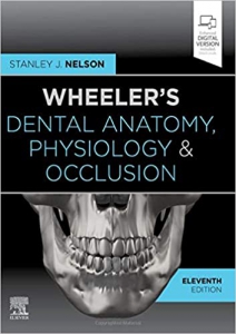 خرید اینترنتی کتاب Wheeler's Dental Anatomy, Physiology and Occlusion: Expert Consult 11th Edition