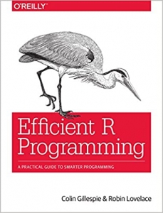 کتاب Efficient R Programming: A Practical Guide to Smarter Programming