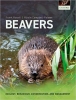کتاب Beavers: Ecology, Behaviour, Conservation, and Management