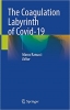 کتاب The Coagulation Labyrinth of Covid-19