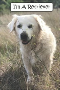 جلد سخت رنگی_کتاب I'm A Retriever: A Disguised Computer Password Book With Alphabetical Tabs - Small 4x6 Pocket Size Log Book Organizer