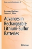 کتاب Advances in Rechargeable Lithium–Sulfur Batteries (Modern Aspects of Electrochemistry, 59)