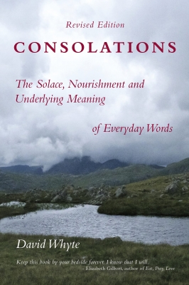 Consolations: The Solace, Nourishment and Underlying Meaning of Everyday Words 