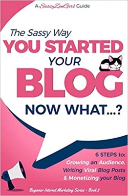 کتاب You Started Your Blog - Now What...? (Beginner Internet Marketing Series) 