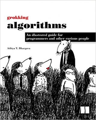 جلد معمولی سیاه و سفید_کتاب Grokking Algorithms: An Illustrated Guide for Programmers and Other Curious People