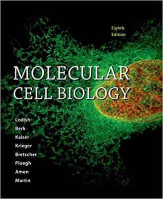 خرید اینترنتی کتاب Molecular Cell Biology