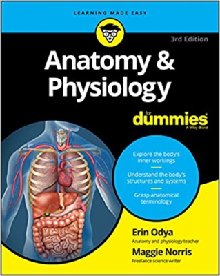 خرید اینترنتی کتاب Anatomy and Physiology for Dummies – 3rd edition