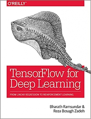 کتاب TensorFlow for Deep Learning: From Linear Regression to Reinforcement Learning 1st Edition