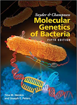 خرید اینترنتی کتاب Snyder and Champness Molecular Genetics of Bacteria