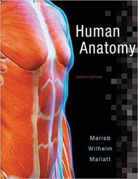 خرید اینترنتی کتاب Human Anatomy 8th Edition