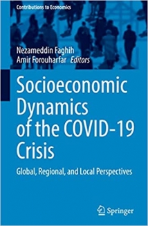 کتاب Socioeconomic Dynamics of the COVID-19 Crisis: Global, Regional, and Local Perspectives (Contributions to Economics)