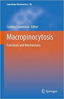 کتاب Macropinocytosis: Functions and Mechanisms (Subcellular Biochemistry, 98)