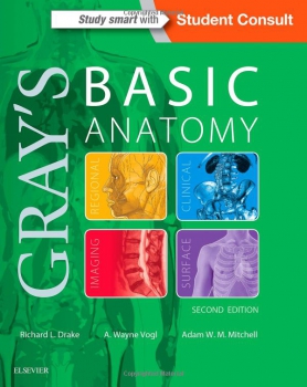 خرید اینترنتی کتاب Gray's Basic Anatomy 2nd Edition