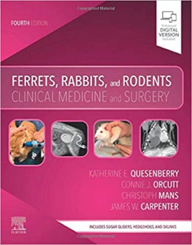 خرید اینترنتی کتاب Ferrets, Rabbits, and Rodents: Clinical Medicine and Surgery