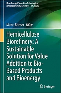 کتاب Hemicellulose Biorefinery: A Sustainable Solution for Value Addition to Bio-Based Products and Bioenergy (Clean Energy Production Technologies)