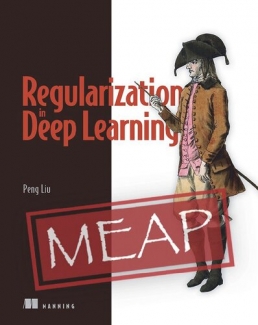 کتاب Manning Early Access Program Regularization in Deep Learning Version 3