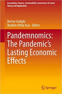 کتاب Pandemnomics: The Pandemic's Lasting Economic Effects (Accounting, Finance, Sustainability, Governance & Fraud: Theory and Application)
