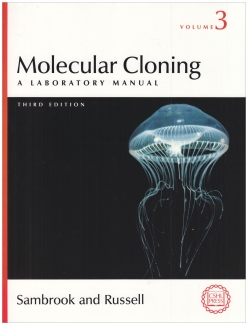 خرید اینترنتی کتاب Molecular Cloning: A Laboratory Manual (3rd Edition): Three-volume set
