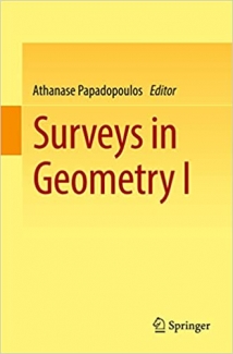 کتاب Surveys in Geometry I