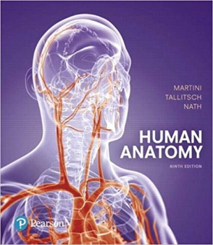 خرید اینترنتی کتاب Human Anatomy 9th Edition