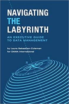 کتاب Navigating the Labyrinth: An Executive Guide to Data Management
