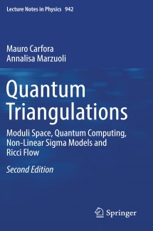 کتاب Quantum Triangulations 
