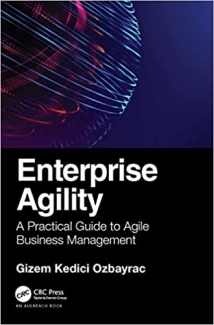 کتاب Enterprise Agility: A Practical Guide to Agile Business Management