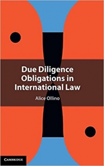 کتاب Due Diligence Obligations in International Law
