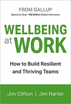 کتاب Wellbeing at Work