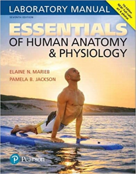 خرید اینترنتی کتاب Essentials of Human Anatomy & Physiology Laboratory Manual 7th Edition
