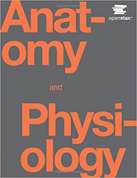 خرید اینترنتی کتاب Anatomy and Physiology by OpenStax (hardcover version, full color)