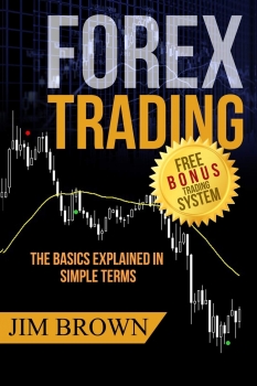 FOREX TRADING: The Basics Explained in Simple Terms (Forex, Forex Trading System, Forex Trading Strategy, Oil, Precious metals, Commodities, Stocks, Currency Trading, Bitcoin) 