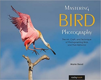کتاب Mastering Bird Photography: The Art, Craft, and Technique of Photographing Birds and Their Behavior