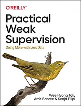  کتاب Practical Weak Supervision: Doing More with Less Data