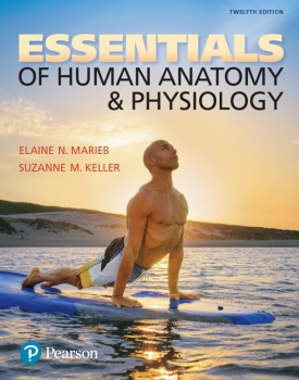 خرید اینترنتی کتاب Essentials of Human Anatomy & Physiology 12th Edition