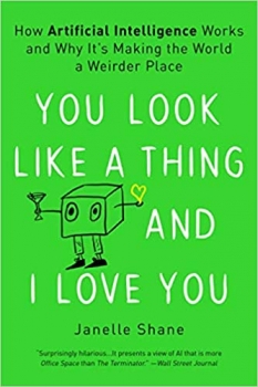 کتاب You Look Like a Thing and I Love You: How Artificial Intelligence Works and Why It’s Making the World a Weirder Place