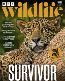 مجله BBC Wild Life Spring 2022